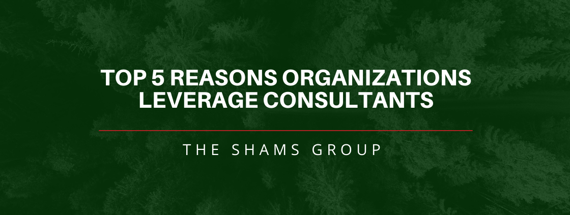 Top 5 Reasons Organizations Leverage Consultants