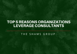 Top 5 Reasons Organizations Leverage Consultants
